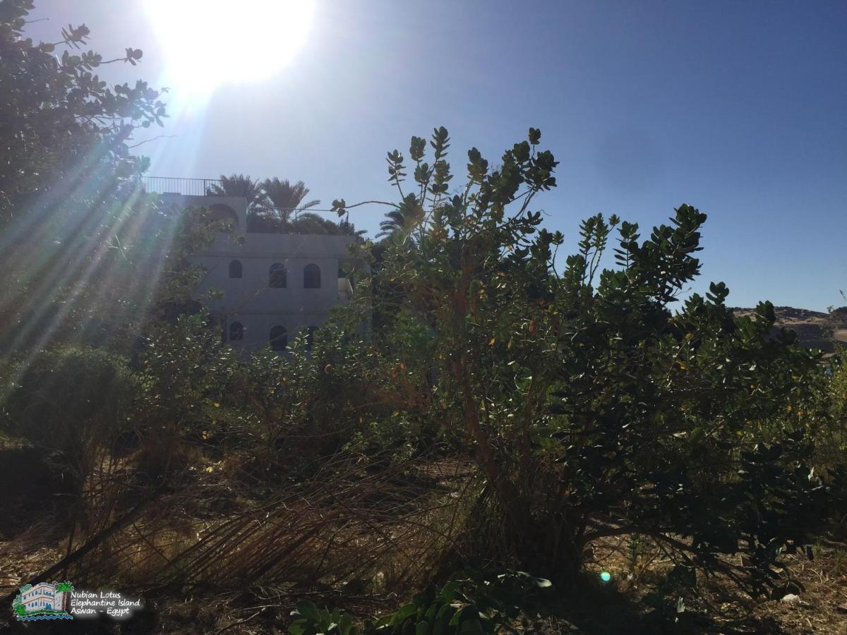 아스완 Nubian Lotus B&B 외부 사진
