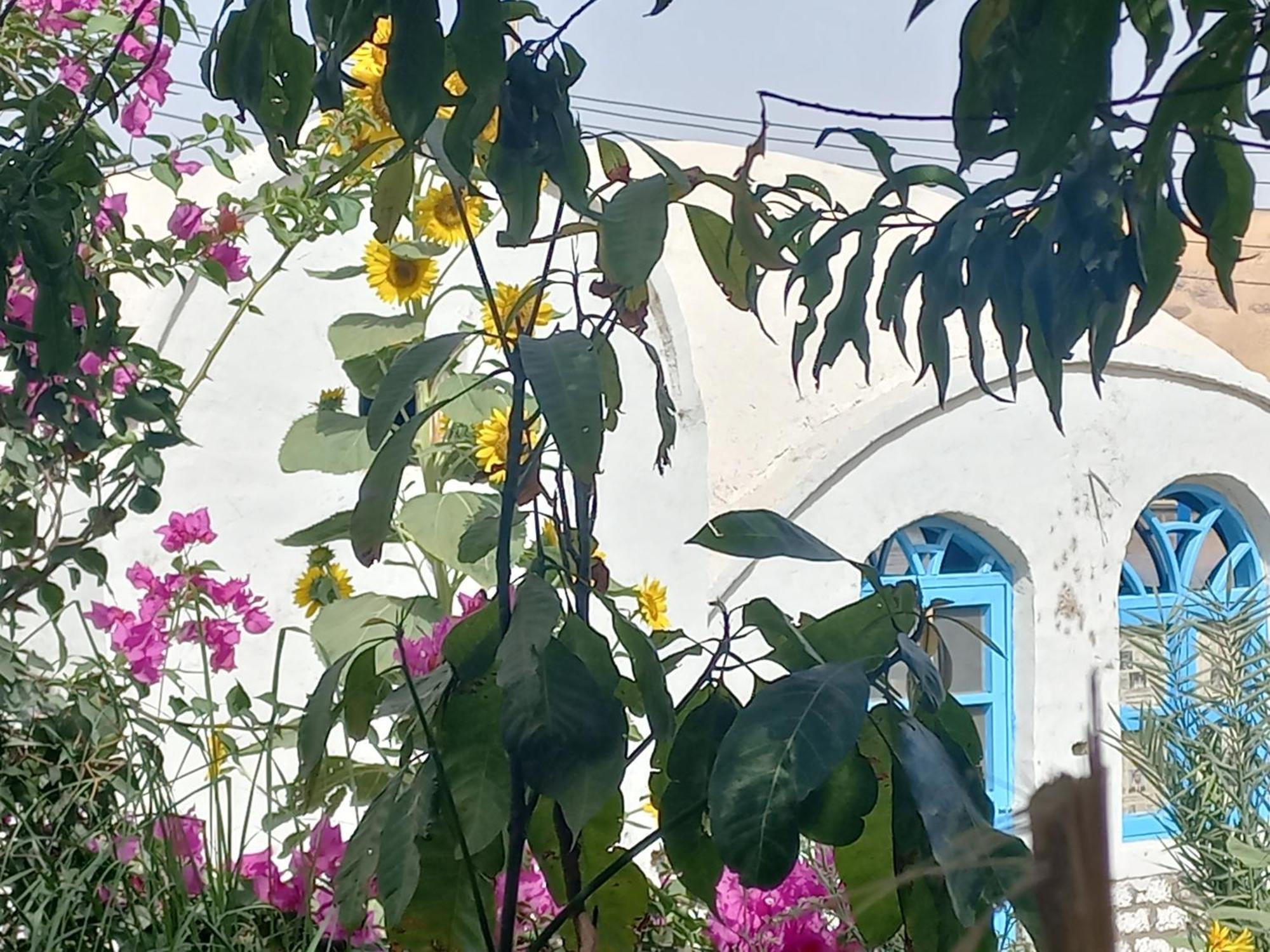 아스완 Nubian Lotus B&B 외부 사진