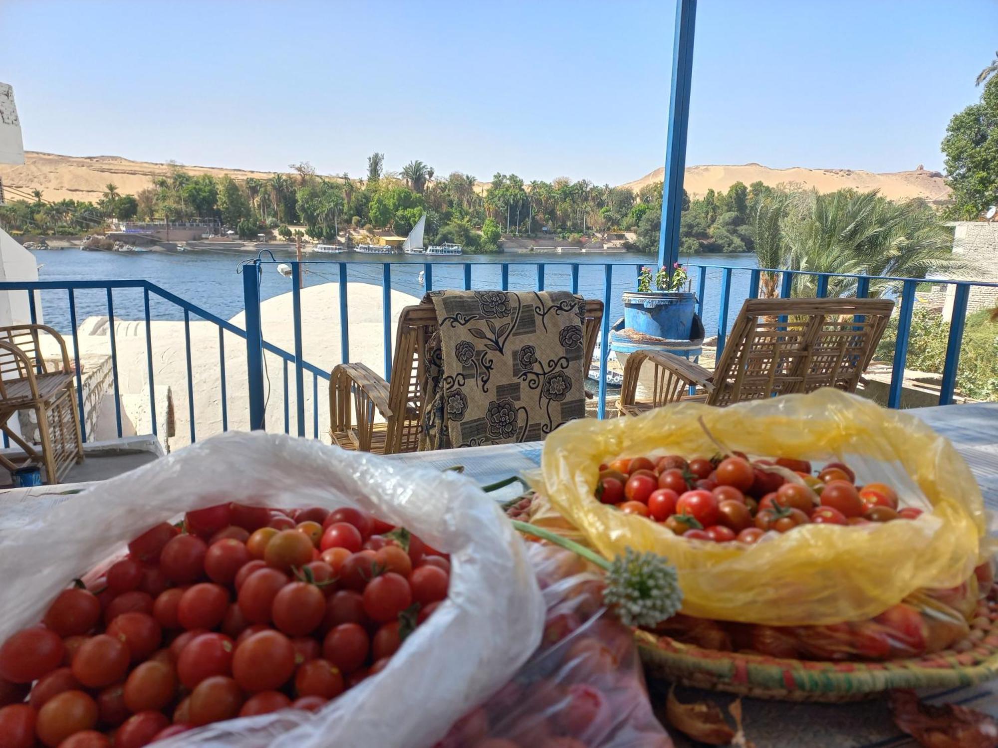 아스완 Nubian Lotus B&B 외부 사진